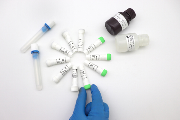 Vitassay Transferrin Turbidimetric Assay - Image 3