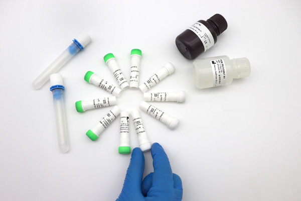 Vitassay FOB Turbidimetric Assay - Image 3