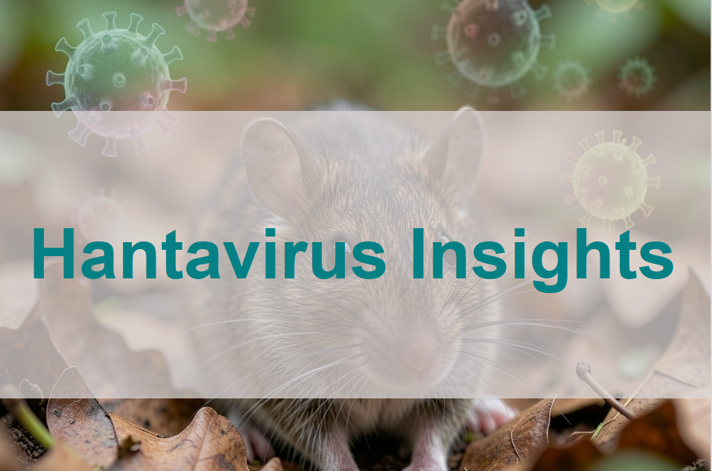 Hantavirus 2026: recent outbreaks, symptoms and differential diagnosis