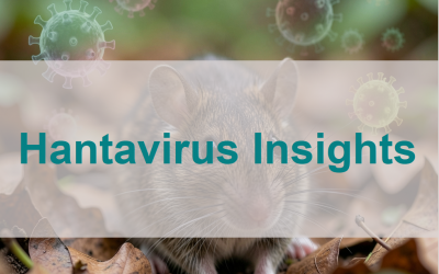 Hantavirus 2026: recent outbreaks, symptoms and differential diagnosis